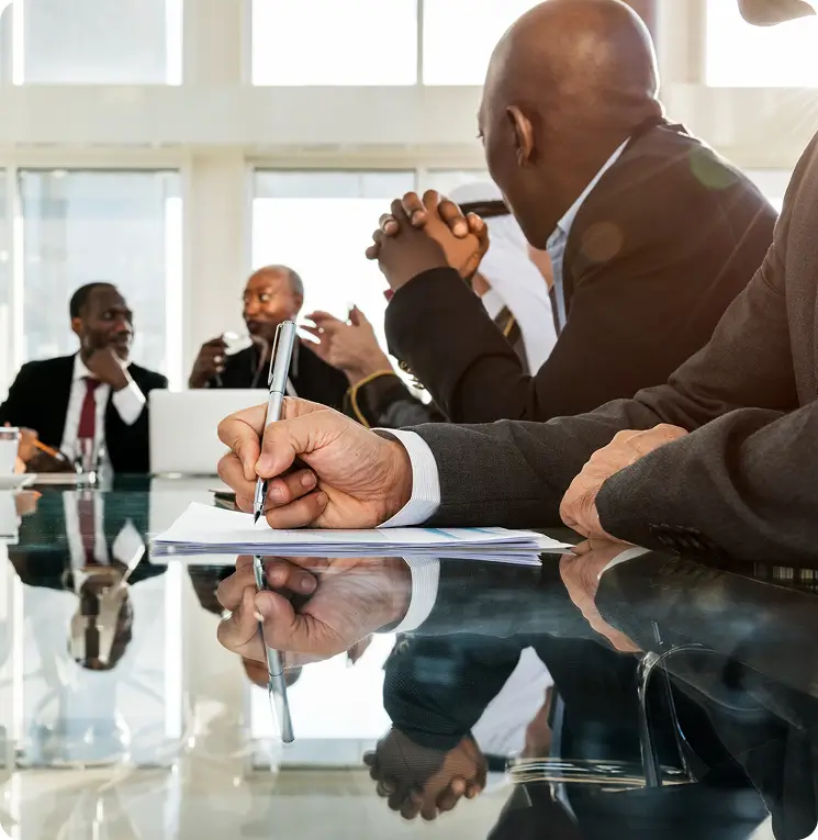 Government Contracting & Public Advisory